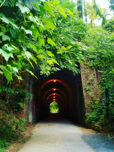 Little Falls Stream Valley Park - Bethesda, MD