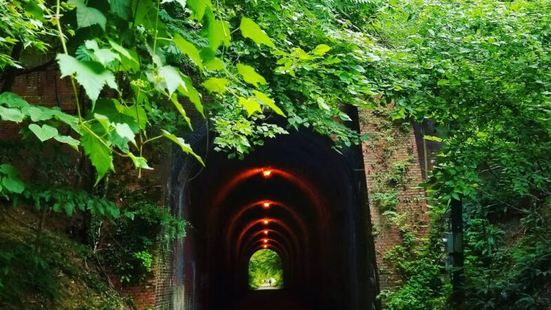 Little Falls Stream Valley Park - Bethesda, MD