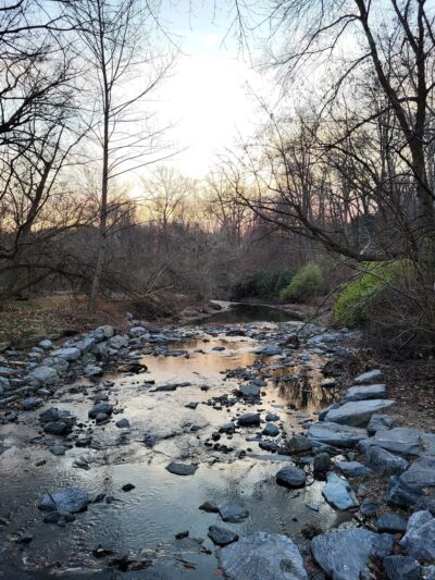 Little Falls Stream Valley Park - Bethesda, MD