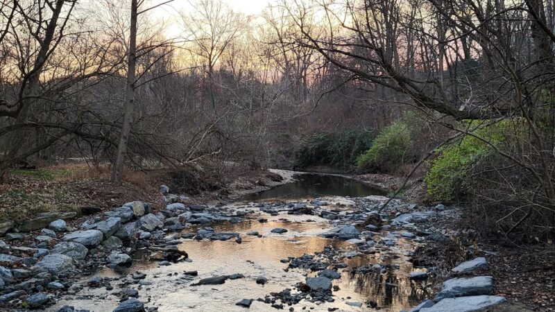 Little Falls Stream Valley Park - Bethesda, MD