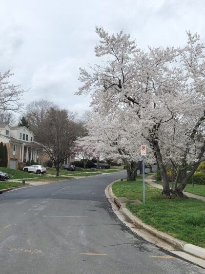 Maplewood-Alta Vista Local Park - Bethesda, MD