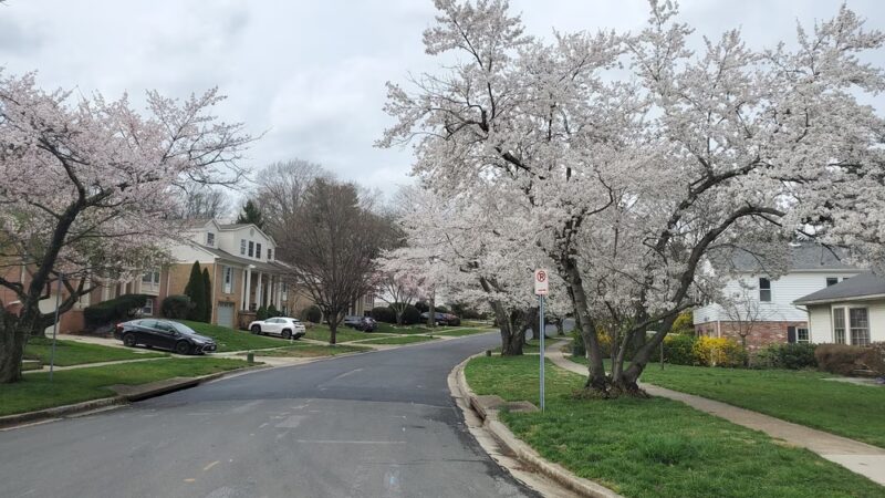 Maplewood-Alta Vista Local Park - Bethesda, MD