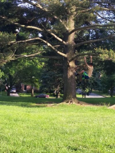 Maplewood-Alta Vista Local Park - Bethesda, MD