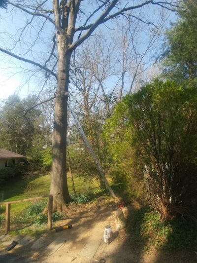 Merrimac Neighborhood Park - Bethesda, MD