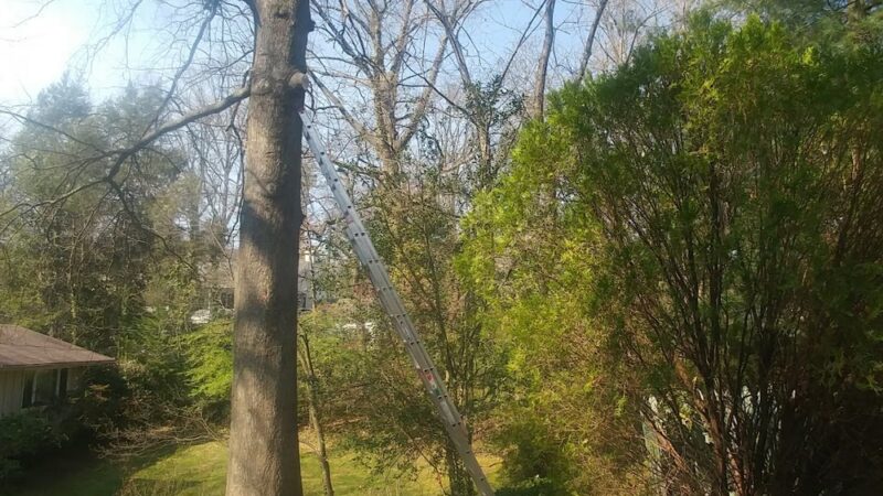 Merrimac Neighborhood Park - Bethesda, MD