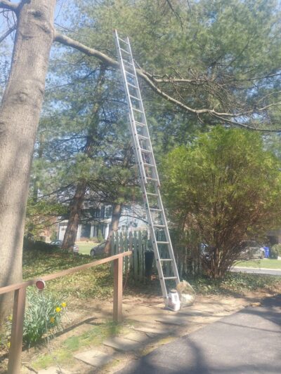 Merrimac Neighborhood Park - Bethesda, MD