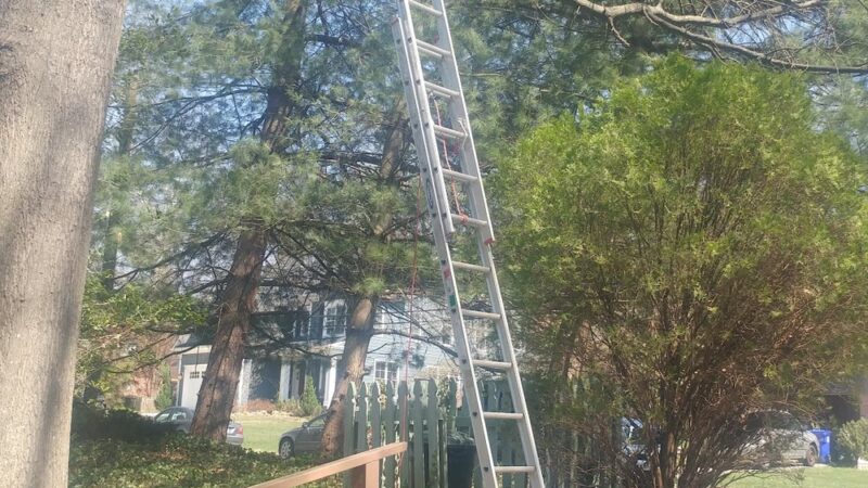 Merrimac Neighborhood Park - Bethesda, MD