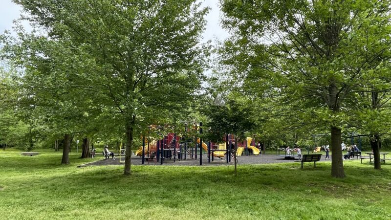 Park at Beach and Cedar - Bethesda, MD