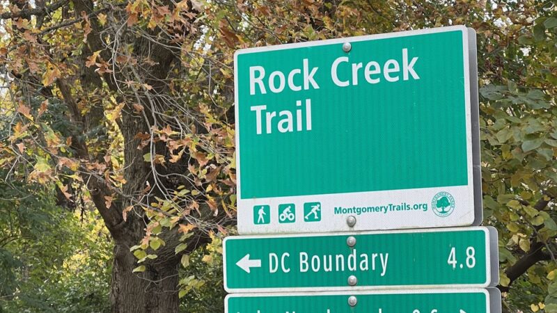 Park at Beach and Cedar - Bethesda, MD