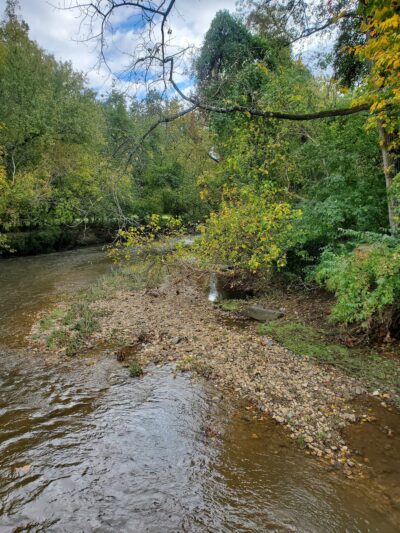 Park at Beach and Cedar - Bethesda, MD