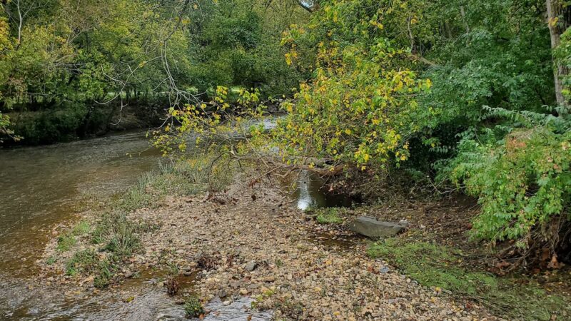 Park at Beach and Cedar - Bethesda, MD