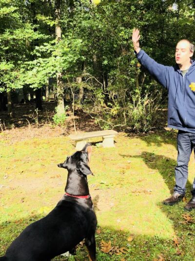 Tom's Dog Training - Bethesda, MD