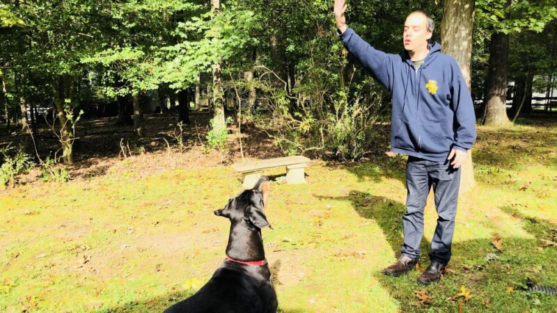 Tom's Dog Training - Bethesda, MD