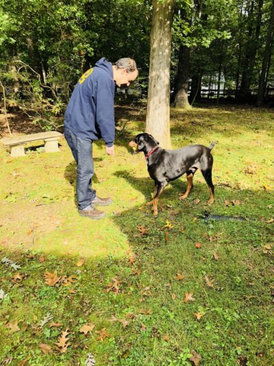 Tom's Dog Training - Bethesda, MD