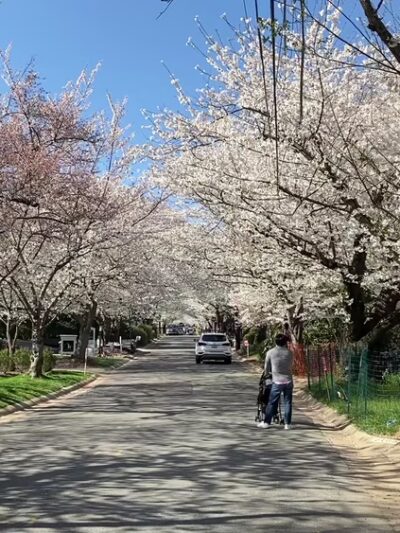 Trail Park - Bethesda, MD