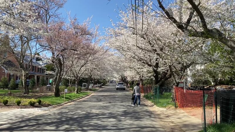 Trail Park - Bethesda, MD