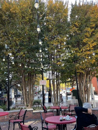 Veterans Park - Bethesda, MD