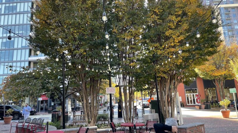 Veterans Park - Bethesda, MD