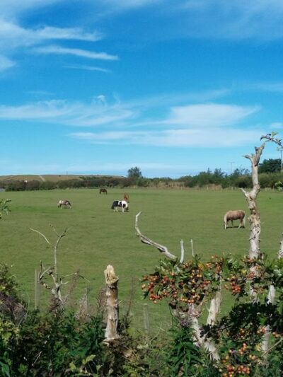 WHITLEY PARK Community - Bethesda, MD