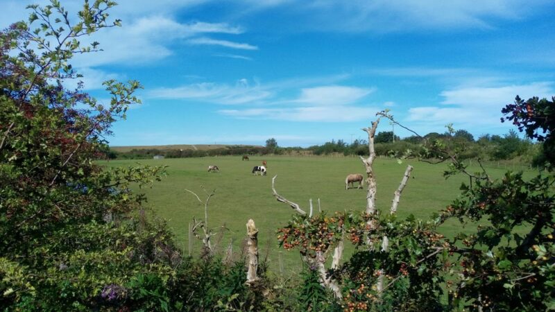 WHITLEY PARK Community - Bethesda, MD