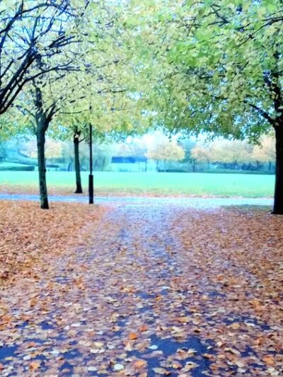 WHITLEY PARK Community - Bethesda, MD