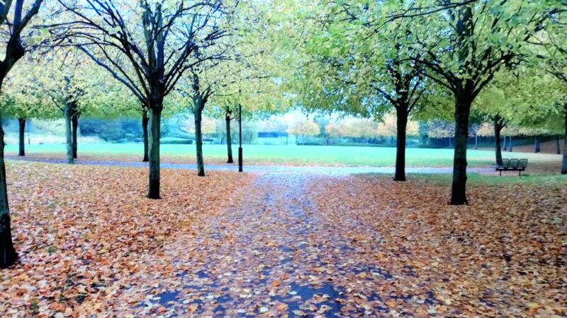 WHITLEY PARK Community - Bethesda, MD