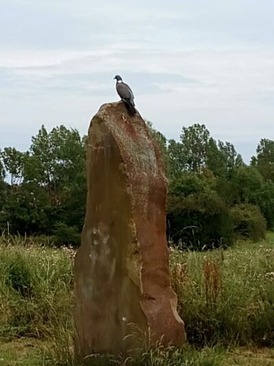 WHITLEY PARK Community - Bethesda, MD