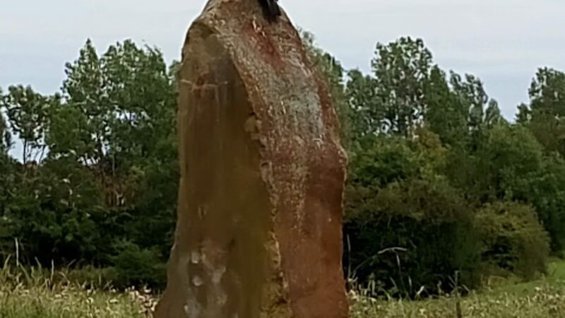 WHITLEY PARK Community - Bethesda, MD