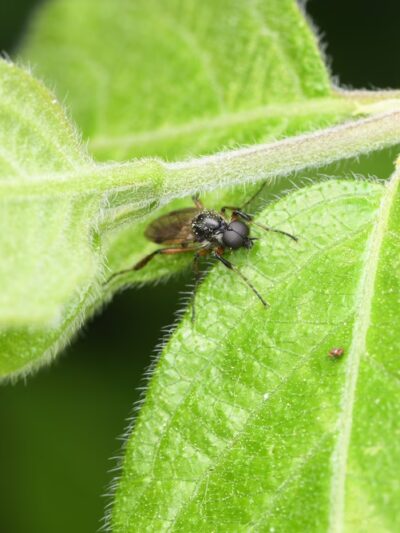 Whittier Woods Local Park - Bethesda, MD