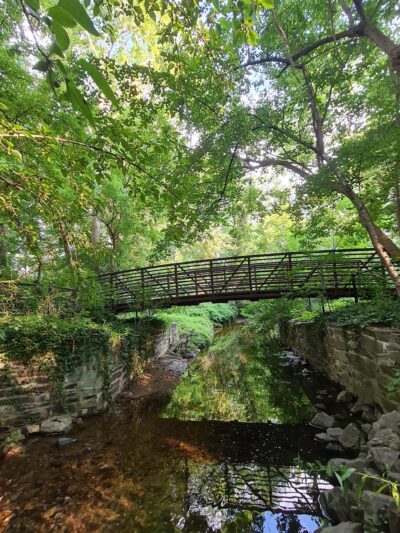 Willard Avenue Neighborhood Park - Bethesda, MD