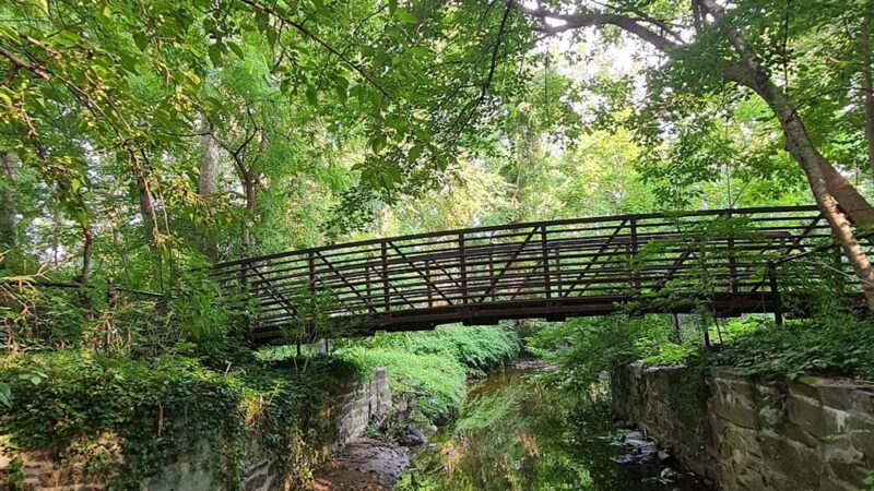 Willard Avenue Neighborhood Park - Bethesda, MD