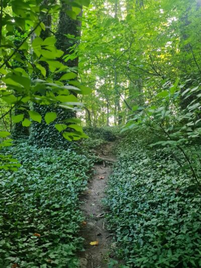 Willard Avenue Neighborhood Park - Bethesda, MD