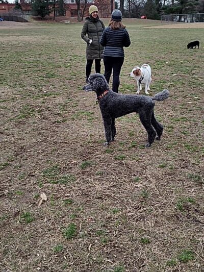 Woodacres Local Park - Bethesda, MD