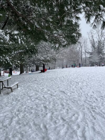 Woodacres Local Park - Bethesda, MD