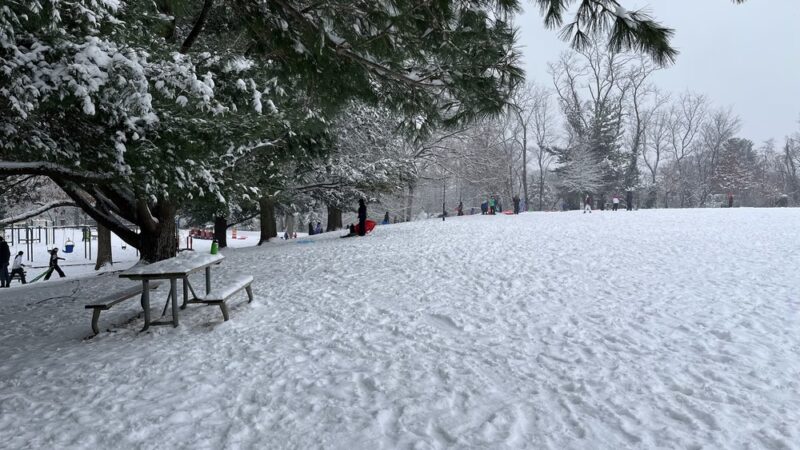 Woodacres Local Park - Bethesda, MD