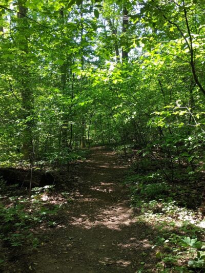 Wyngate Woods Neighborhood Park - Bethesda, MD