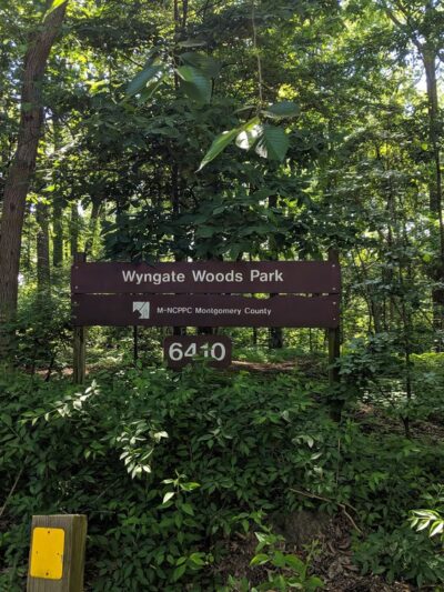 Wyngate Woods Neighborhood Park - Bethesda, MD