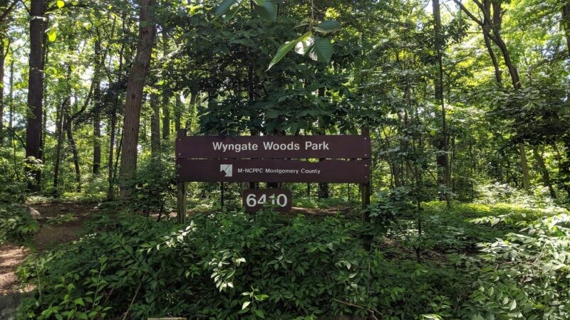 Wyngate Woods Neighborhood Park - Bethesda, MD