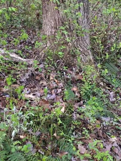 Cabin John Trailhead - Bethesda, MD