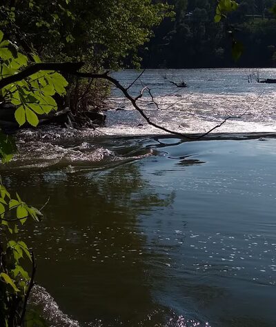 Little Falls Park - Bethesda, MD