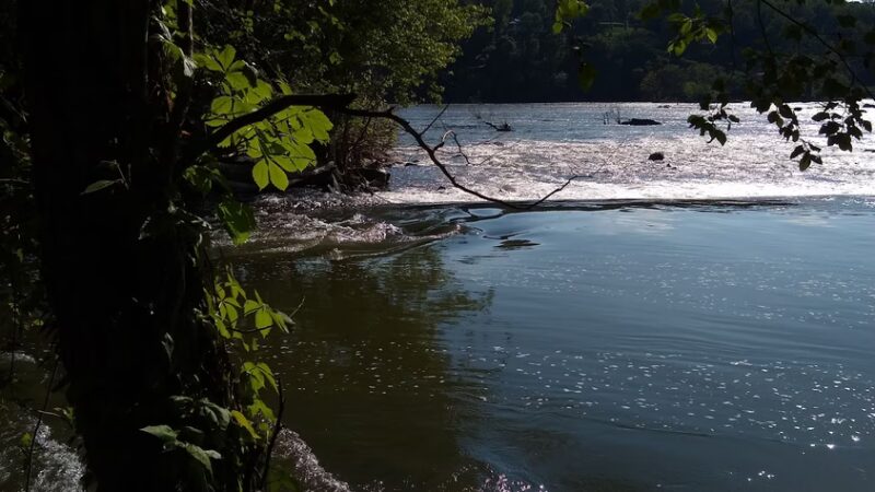 Little Falls Park - Bethesda, MD
