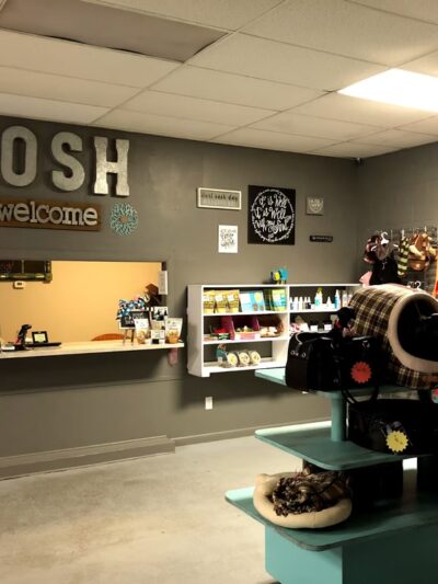 Posh 4 Paws - Boarding, Grooming, Daycare, & Boutique - Beulaville, NC