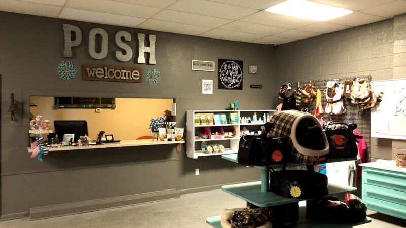 Posh 4 Paws - Boarding, Grooming, Daycare, & Boutique - Beulaville, NC
