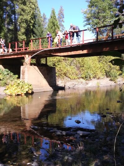 Camp Stoney Meadows - Big Bend, CA