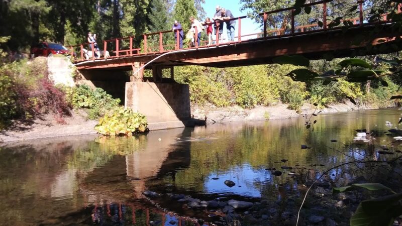 Camp Stoney Meadows - Big Bend, CA