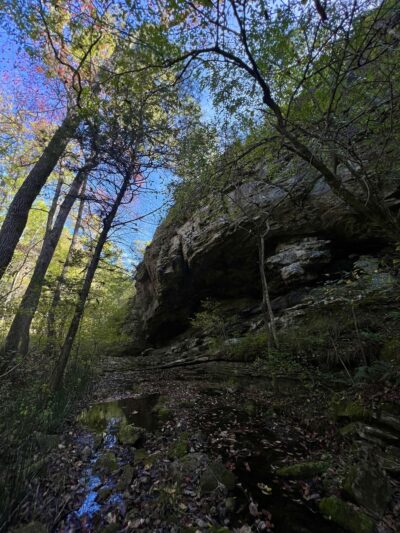Ozark Highlands - Moccasin Springs Trailhead - Big Flat, AR