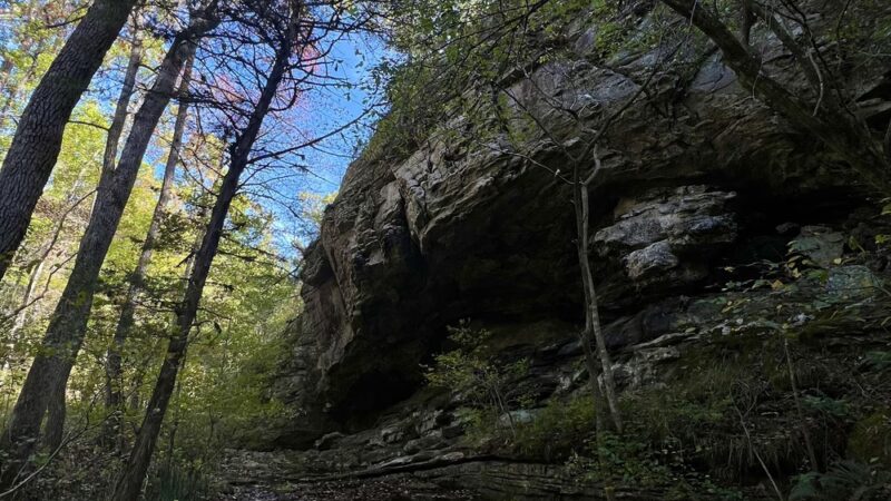 Ozark Highlands - Moccasin Springs Trailhead - Big Flat, AR