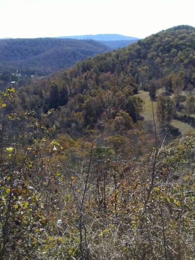 Ozark Highlands - Moccasin Springs Trailhead - Big Flat, AR