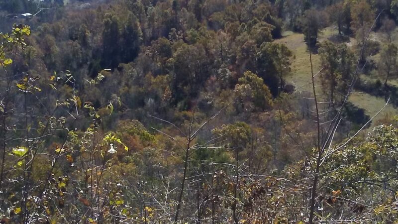 Ozark Highlands - Moccasin Springs Trailhead - Big Flat, AR