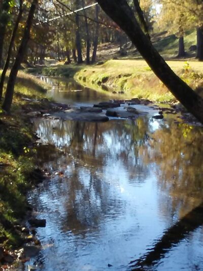 Ozark Highlands - Moccasin Springs Trailhead - Big Flat, AR